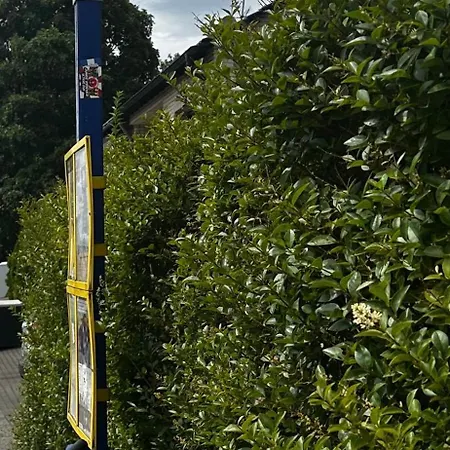 Schoenes 1,5 Mit Balkon In Frintrop